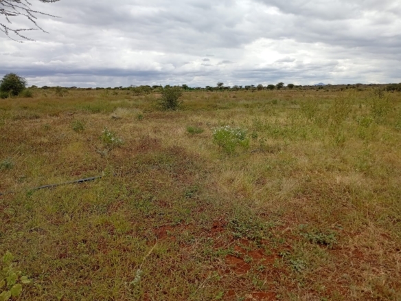 Eselenkei 189.8 Acres for sale