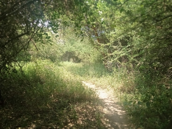 10 000 Acres for sale in Taita Taveta