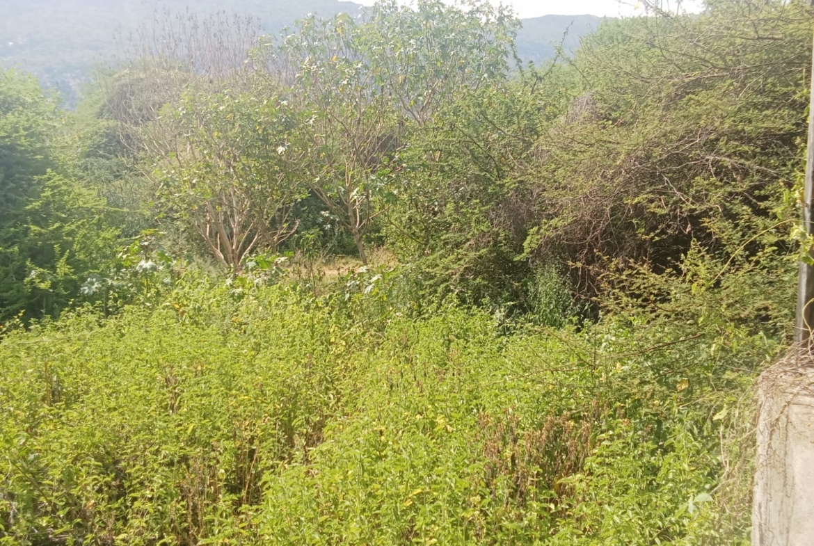 10 000 Acres for sale in Taita Taveta