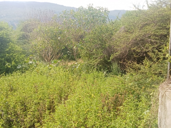 10 000 Acres for sale in Taita Taveta