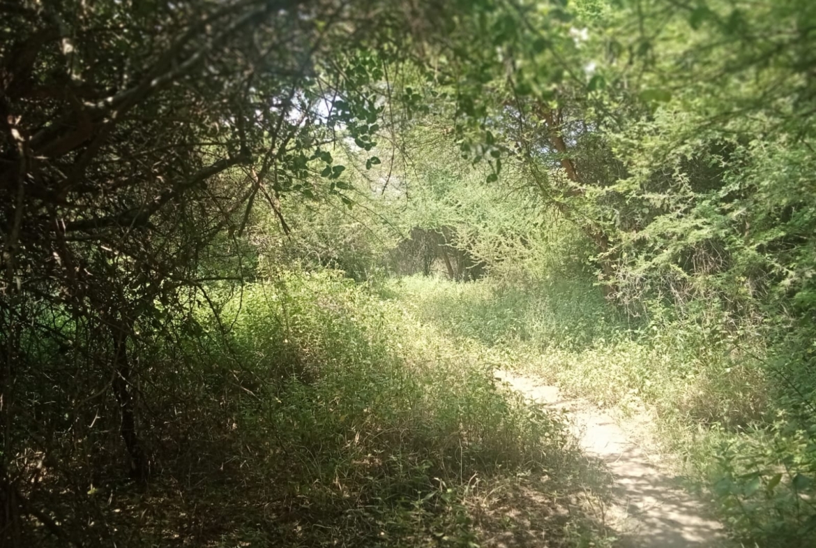 10 000 Acres for sale in Taita Taveta