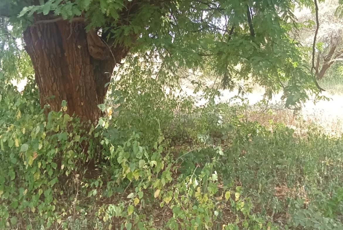 10 000 Acres for sale in Taita Taveta