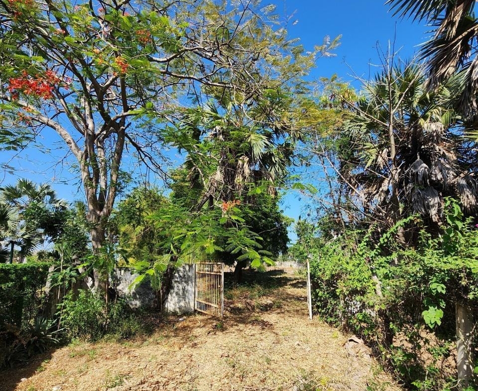 1 Care for sale next to Buntwani