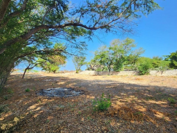 1 Care for sale next to Buntwani