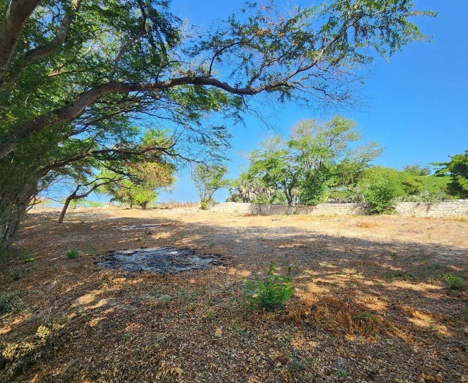 1 Care for sale next to Buntwani