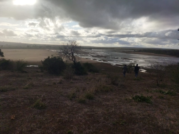 55 Acres for sale in Marikano riverfront