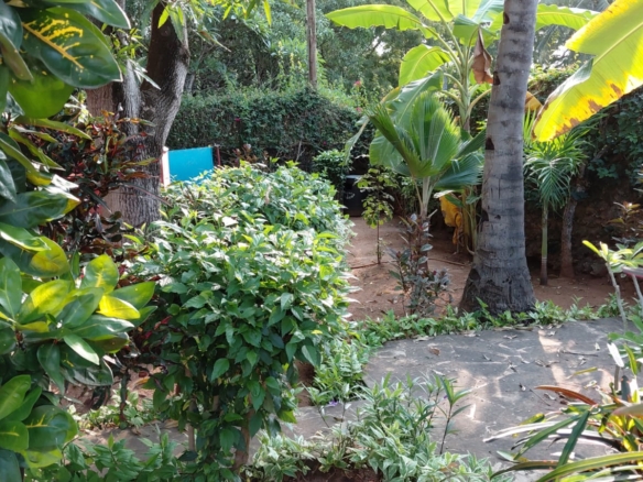 4 bedroom villa for sale in watamu on Quarter Acre