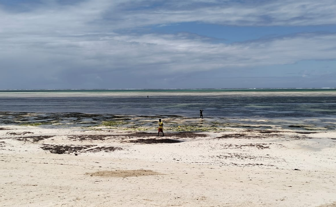 4 Acres for sale Malaika Beach Watamu