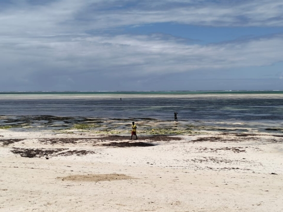 4 Acres for sale Malaika Beach Watamu