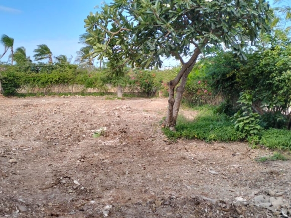 0.6 Acrefor sale in Mayungu