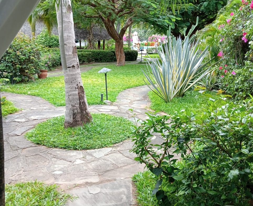 Habourkey 2br shortsay in malindi
