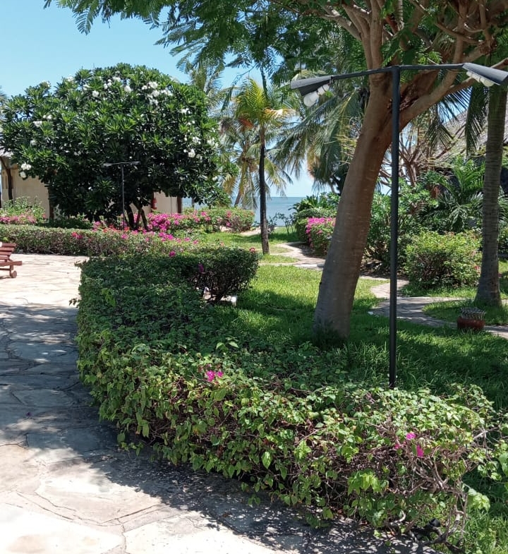 Habourkey 2br shortsya in malindi
