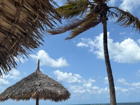 Habourkey 2br shortsya in malindi