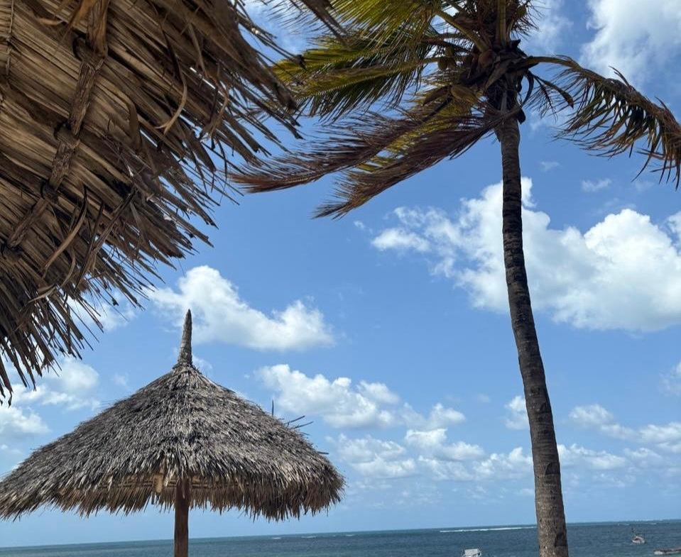 Habourkey 2br shortsya in malindi