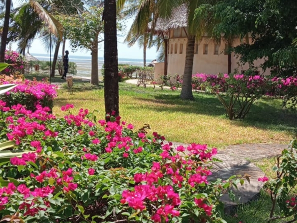 Habourkey 2br shortsya in malindi