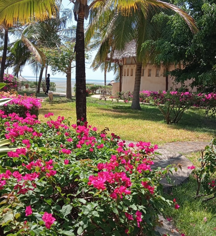 Habourkey 2br shortsya in malindi