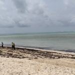 8.4 Acres for sale in Watamu, Malaika Beach
