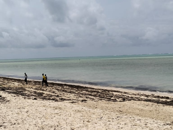 8.4 Acres for sale in Watamu, Malaika Beach