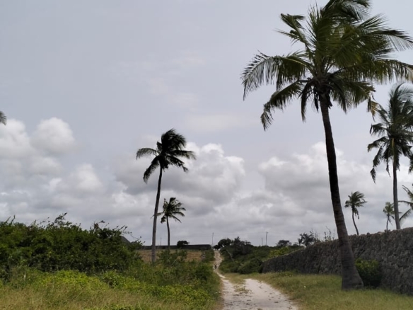 8.4 Acres for sale in Watamu, Malaika Beach