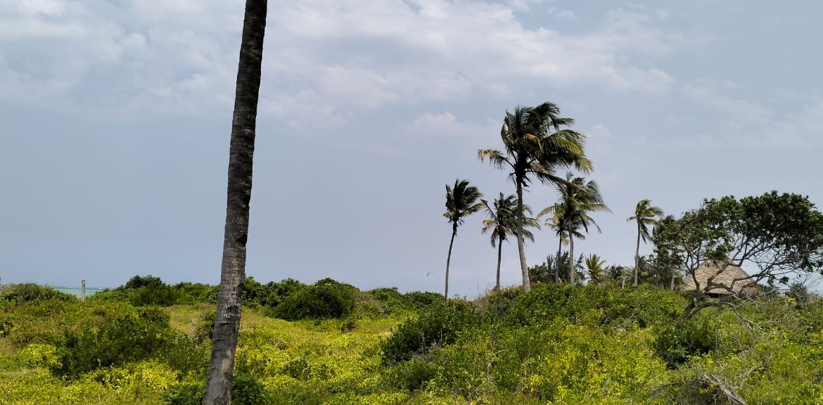 8.4 Acres for sale in Watamu, Malaika Beach