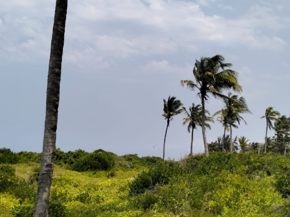 8.4 Acres for sale in Watamu, Malaika Beach