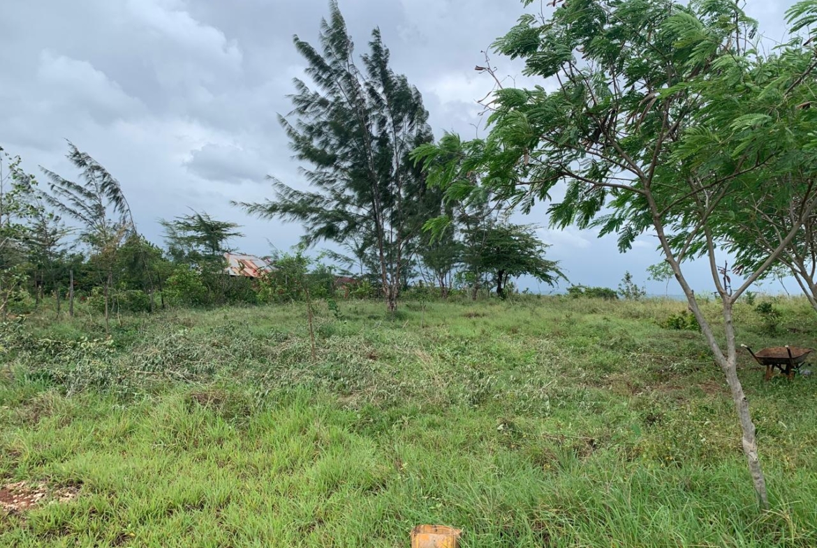 1 Acre plot for sale in Kaliapepo, Kakuyuni, Malindi 🌴