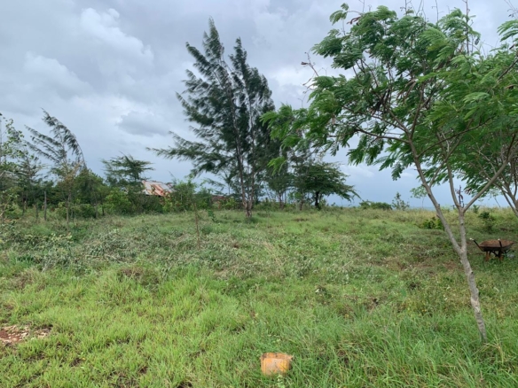 1 Acre plot for sale in Kaliapepo, Kakuyuni, Malindi 🌴