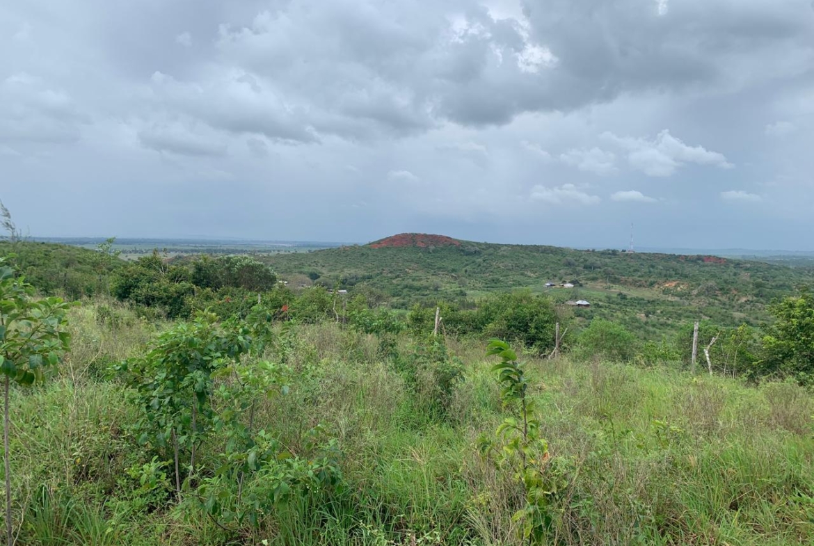 1 Acre plot for sale in Kaliapepo, Kakuyuni, Malindi 🌴