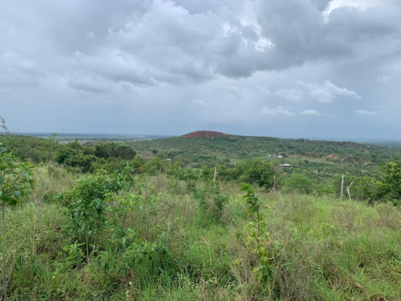 1 Acre plot for sale in Kaliapepo, Kakuyuni, Malindi 🌴