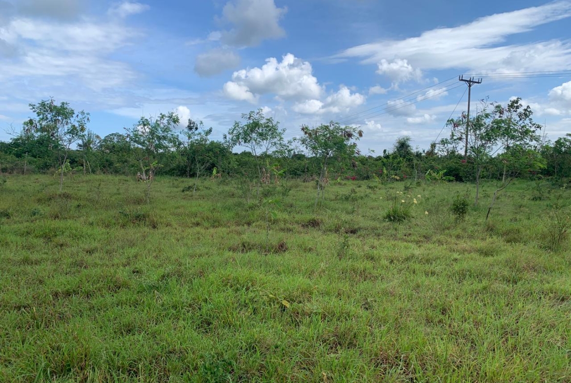 1 Acre plot for sale in Kaliapepo, Kakuyuni, Malindi 🌴
