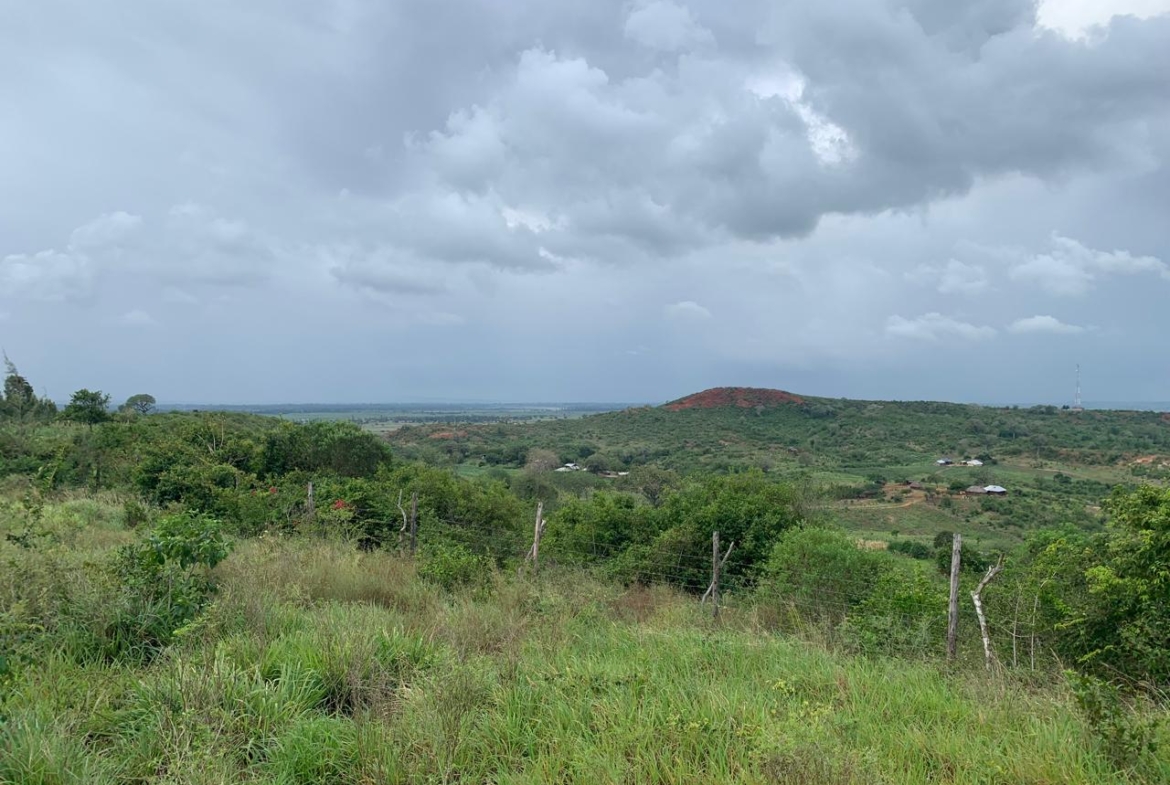 1 Acre plot for sale in Kaliapepo, Kakuyuni, Malindi 🌴