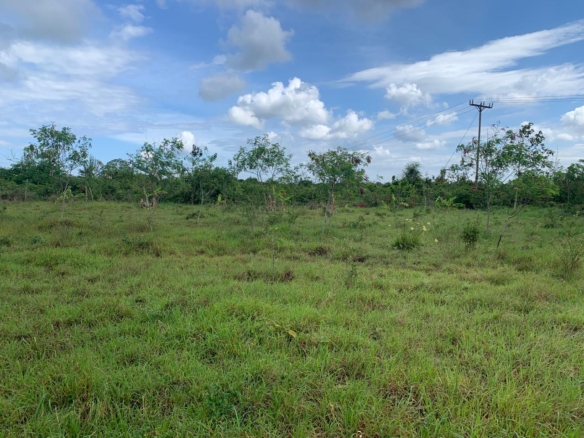 1 Acre plot for sale in Kaliapepo, Kakuyuni, Malindi 🌴
