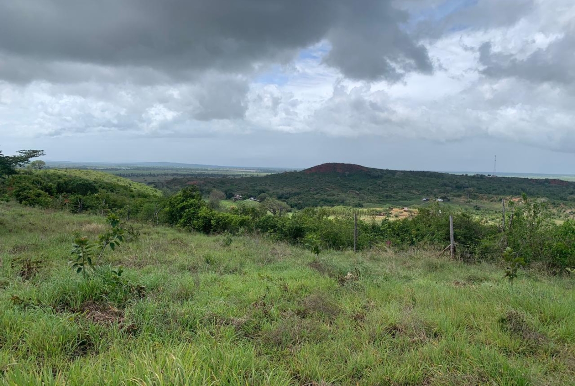 1 Acre plot for sale in Kaliapepo, Kakuyuni, Malindi 🌴