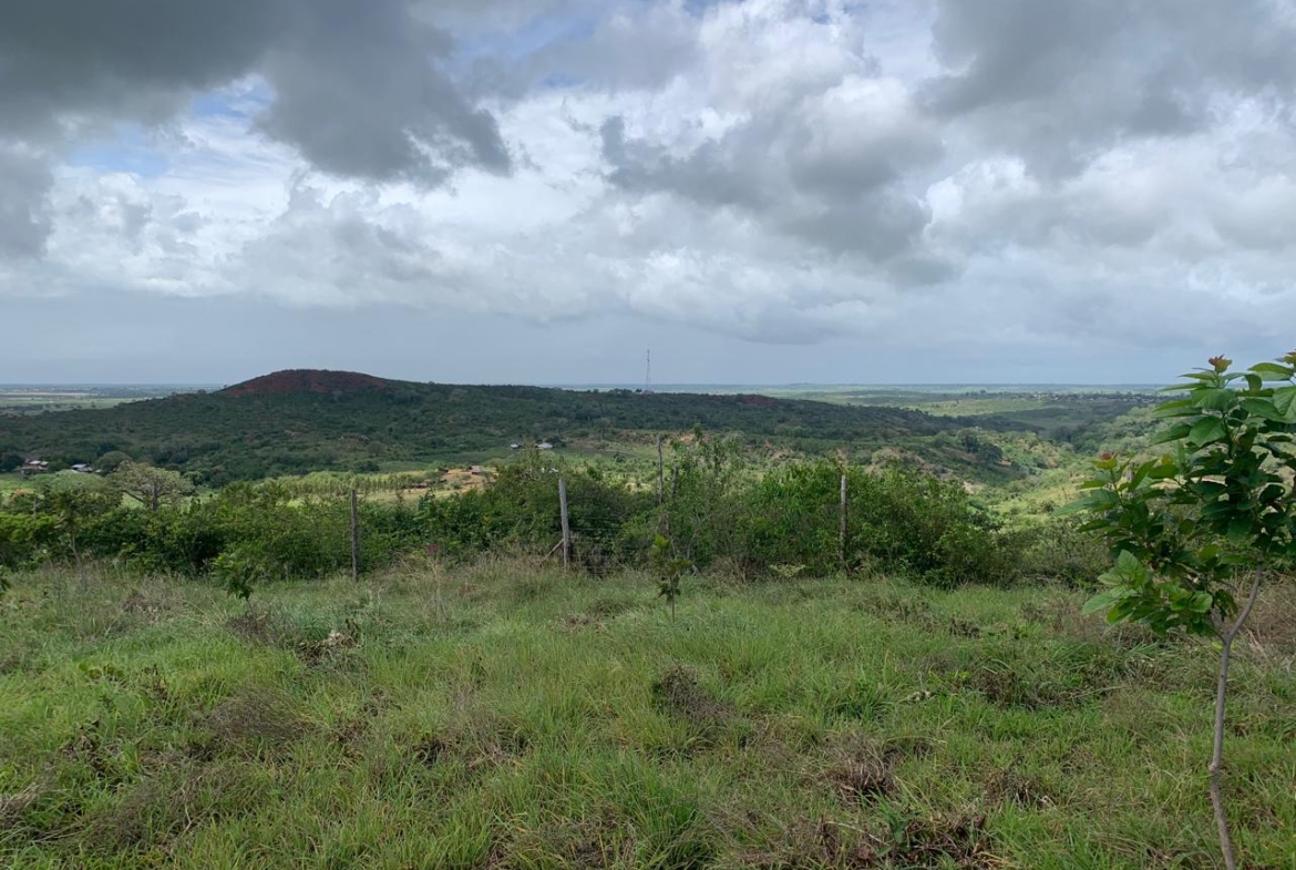 1 Acre plot for sale in Kaliapepo, Kakuyuni, Malindi 🌴