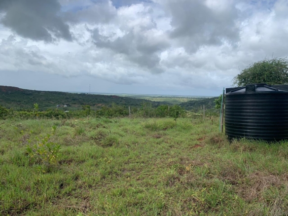 1 Acre plot for sale in Kaliapepo, Kakuyuni, Malindi 🌴