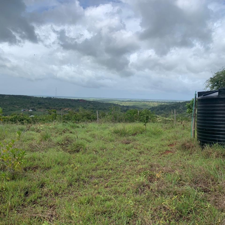 1 Acre plot for sale in Kaliapepo, Kakuyuni, Malindi 🌴