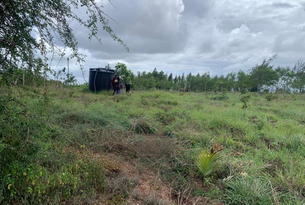 1 Acre plot for sale in Kaliapepo, Kakuyuni, Malindi 🌴