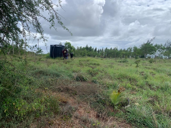 1 Acre plot for sale in Kaliapepo, Kakuyuni, Malindi 🌴