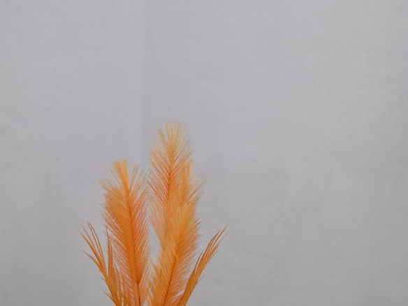 Short stay apartment in Malindi Fully furnished 2-bedroom Malindi Holiday rental Malindi Savannah Residence Malindi short stay Furnished apartment near Malindi Beach Affordable Malindi short let