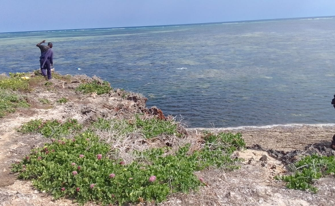 🌊 Prime 1 Acres Beachfront Land for Sale in Watamu — KES 30,000,000 Freehold Title | Development Ready | Indian Ocean Frontage