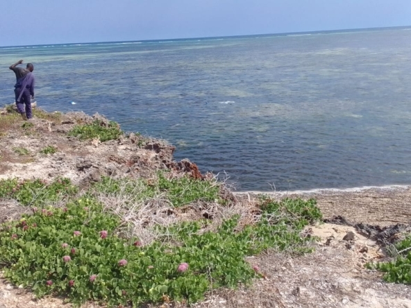 🌊 Prime 1 Acres Beachfront Land for Sale in Watamu — KES 30,000,000 Freehold Title | Development Ready | Indian Ocean Frontage