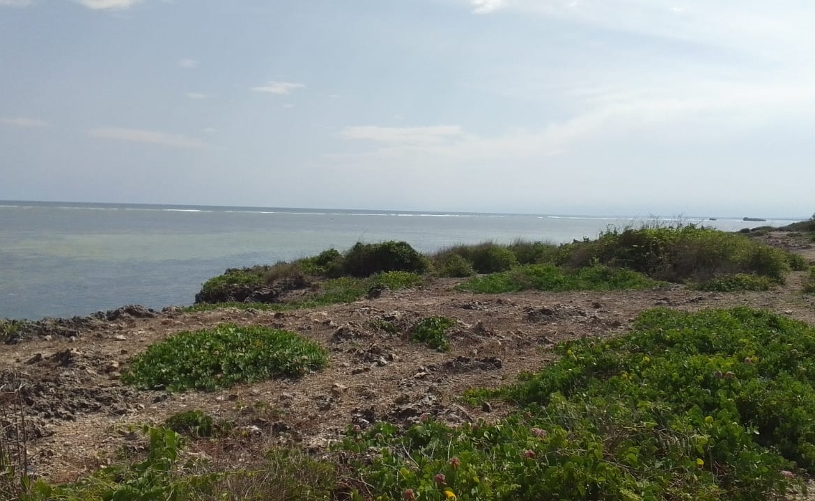🌊 Prime 1 Acres Beachfront Land for Sale in Watamu — KES 30,000,000 Freehold Title | Development Ready | Indian Ocean Frontage