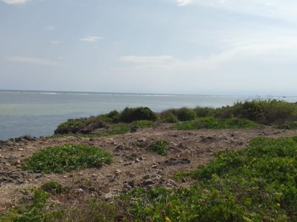 🌊 Prime 1 Acres Beachfront Land for Sale in Watamu — KES 30,000,000 Freehold Title | Development Ready | Indian Ocean Frontage