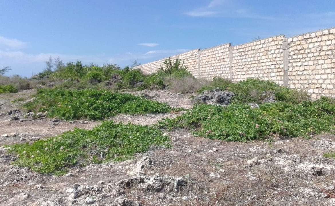 🌊 Prime 1 Acres Beachfront Land for Sale in Watamu — KES 30,000,000 Freehold Title | Development Ready | Indian Ocean Frontage