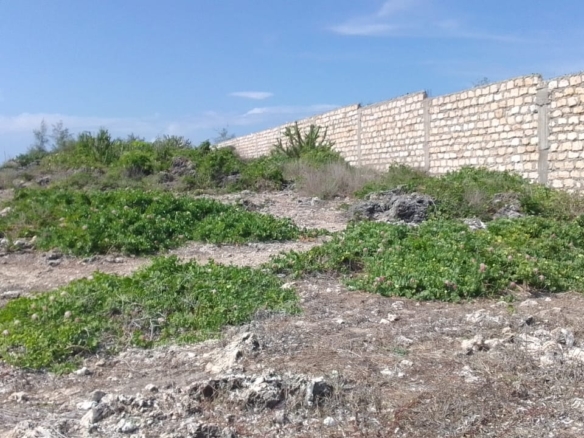 🌊 Prime 1 Acres Beachfront Land for Sale in Watamu — KES 30,000,000 Freehold Title | Development Ready | Indian Ocean Frontage