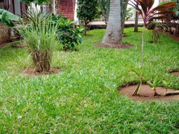 Watamu villa for rent, short stay Watamu, 4-bedroom villa Watamu, Watamu holiday homes, private villa with pool in Watamu, coastal Kenya short-term rental, Watamu furnished villa, luxury stay Watamu, Watamu real estate