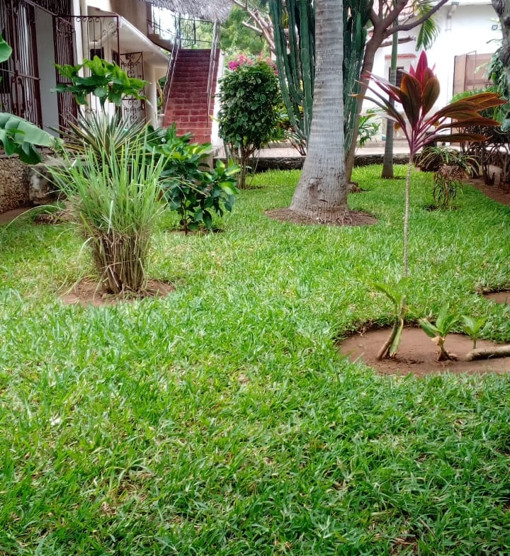 Watamu villa for rent, short stay Watamu, 4-bedroom villa Watamu, Watamu holiday homes, private villa with pool in Watamu, coastal Kenya short-term rental, Watamu furnished villa, luxury stay Watamu, Watamu real estate