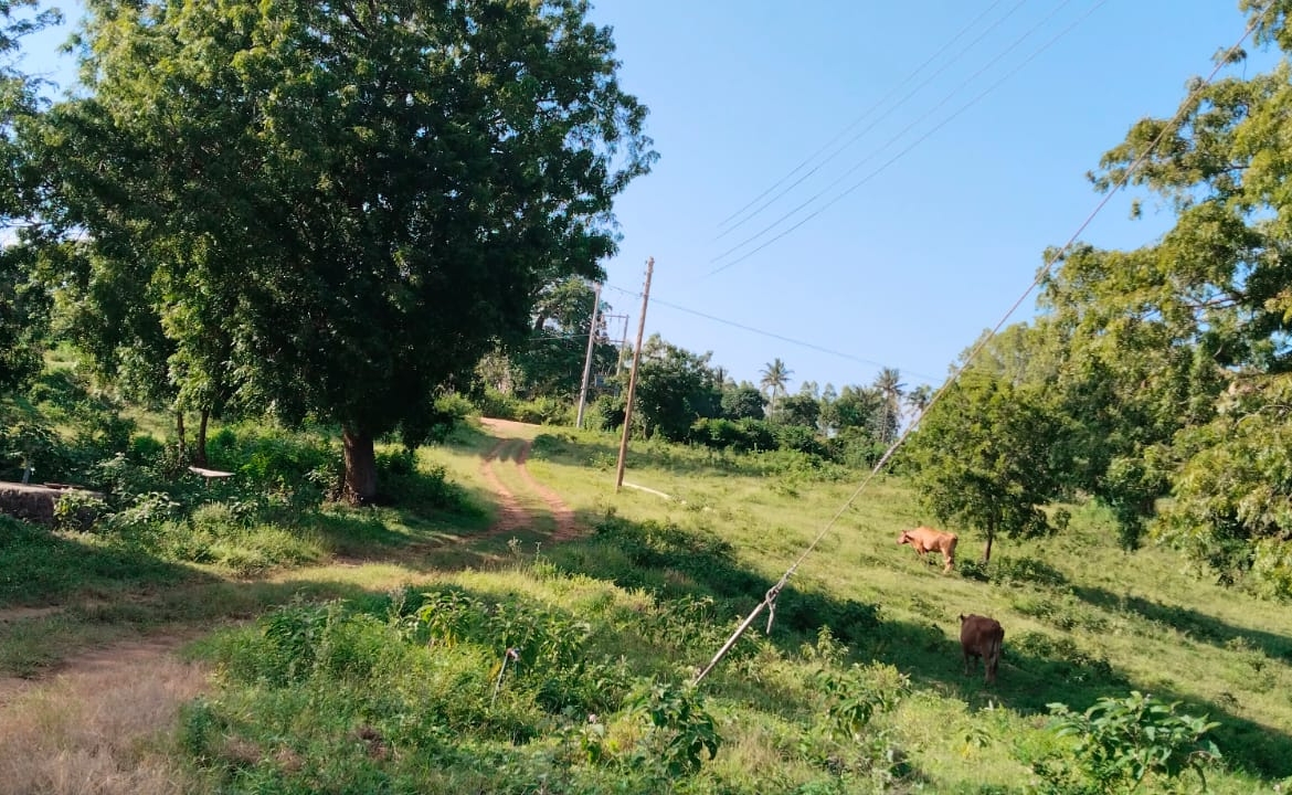 11 Acres for Sale in Mavueni – Riverfront Land with Tarmac Access, Power & Water