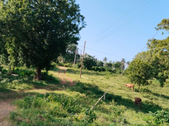 11 Acres for Sale in Mavueni – Riverfront Land with Tarmac Access, Power & Water