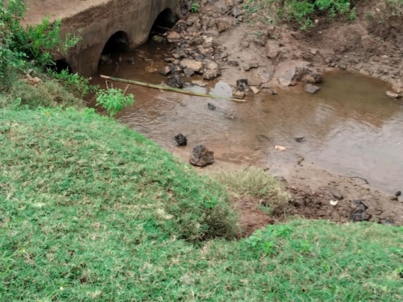 11 Acres for Sale in Mavueni – Riverfront Land with Tarmac Access, Power & Water